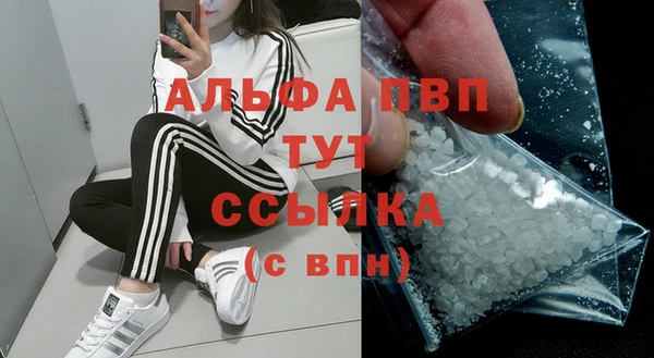 дживик Баксан