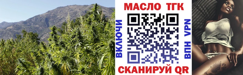 как найти закладки  Лесной  Дистиллят ТГК THC oil 
